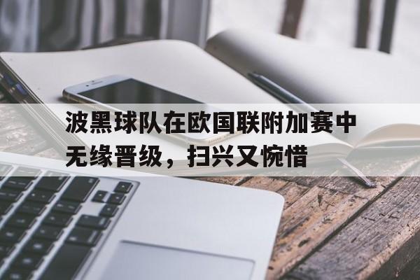 九游-波黑球队在欧国联附加赛中无缘晋级，扫兴又惋惜()