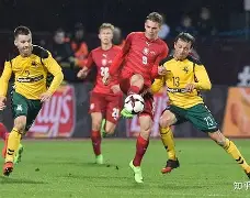 匈牙利队备战欧预赛比赛，志在夺魁()