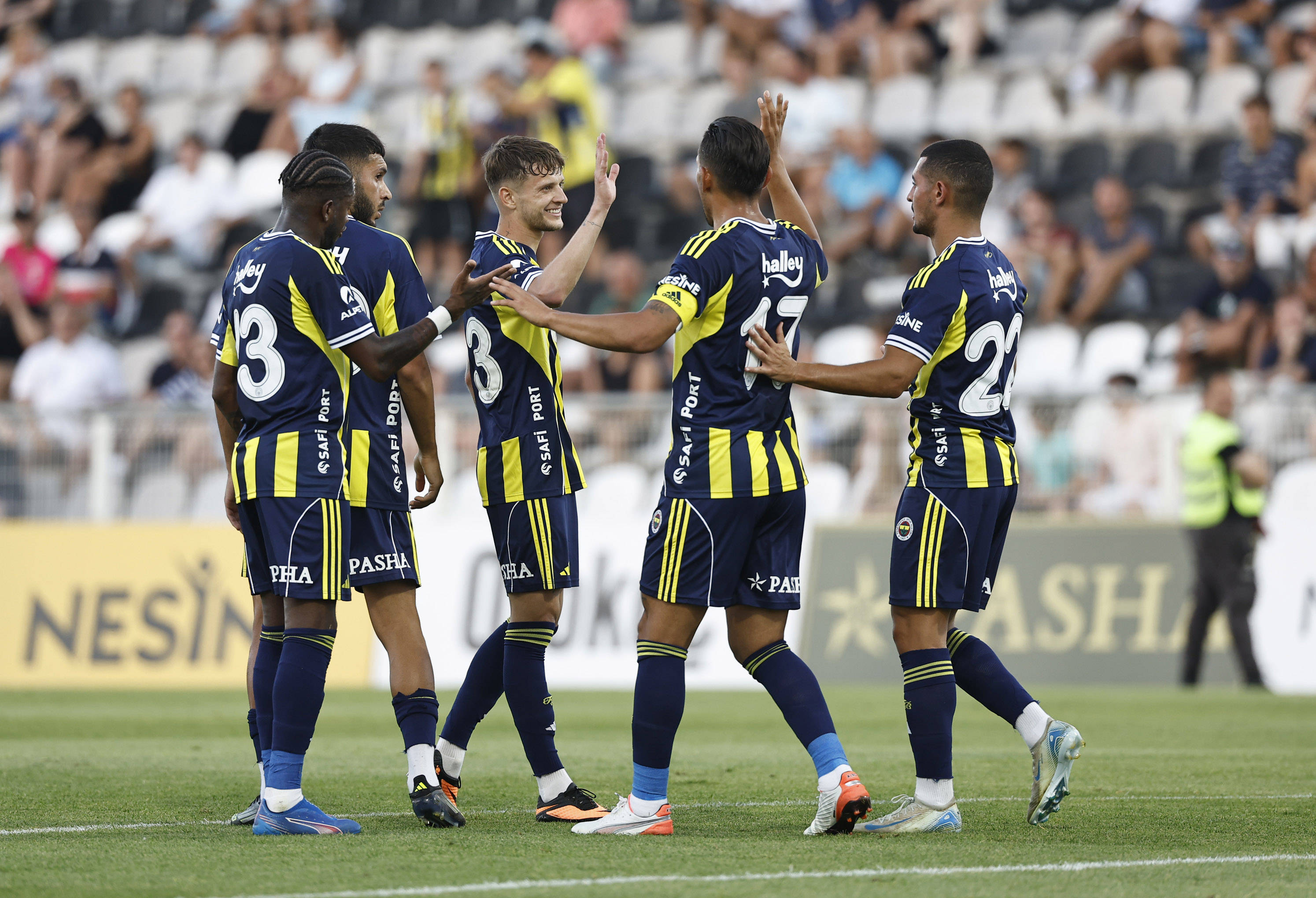 阿尔巴尼亚与冰岛上演对决，欧洲杯预选赛关头()